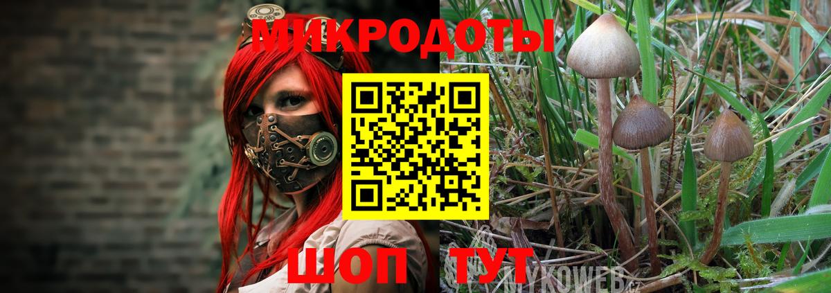 Курчалой  Галлюциногенные грибы Psilocybe  Вход с VPN  Галлюциногенные грибы ЛСД 
